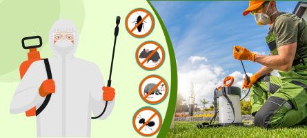 Emergency Pest Control Sandhurst